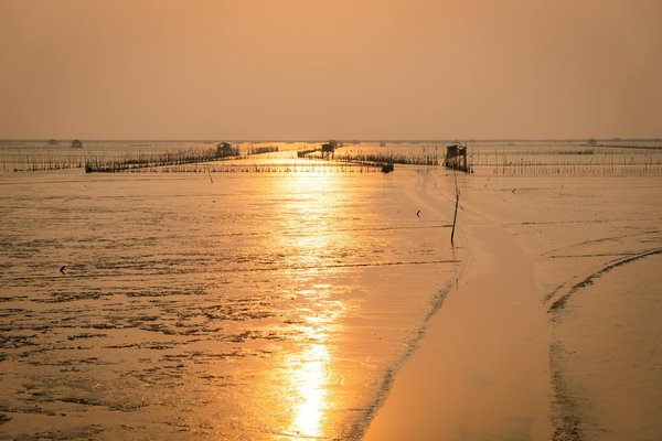 Uncover the best ryokans in osaka for a memorable stay